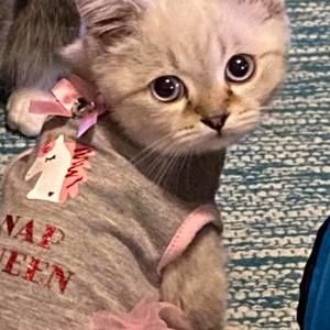 Meet your Posher, Tracy k